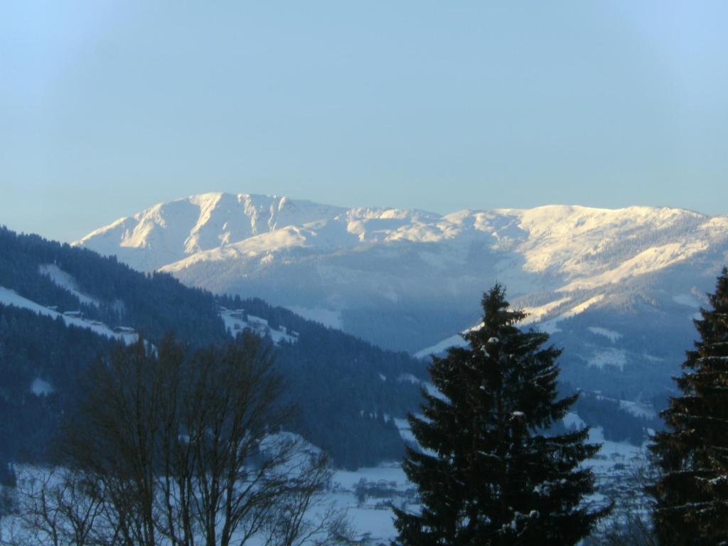 Bauernhof Hundbichl Villa Brixen im Thale Exterior foto